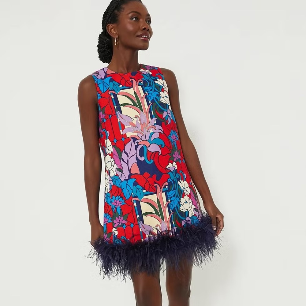 Tuckernuck Small NWOT Climbing Cosmos Sleeveless Mod Ellie Dress